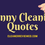Funny Cleaning Quotes